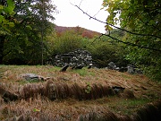 VGrande06 023